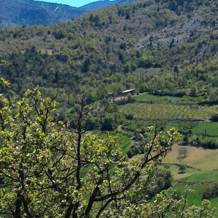 Ferme La Viste Villa La Roche-sur-le-Buis ภายนอก รูปภาพ